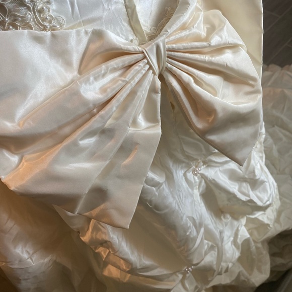 Rare Vintage Wedding Dress - Picture 5 of 6